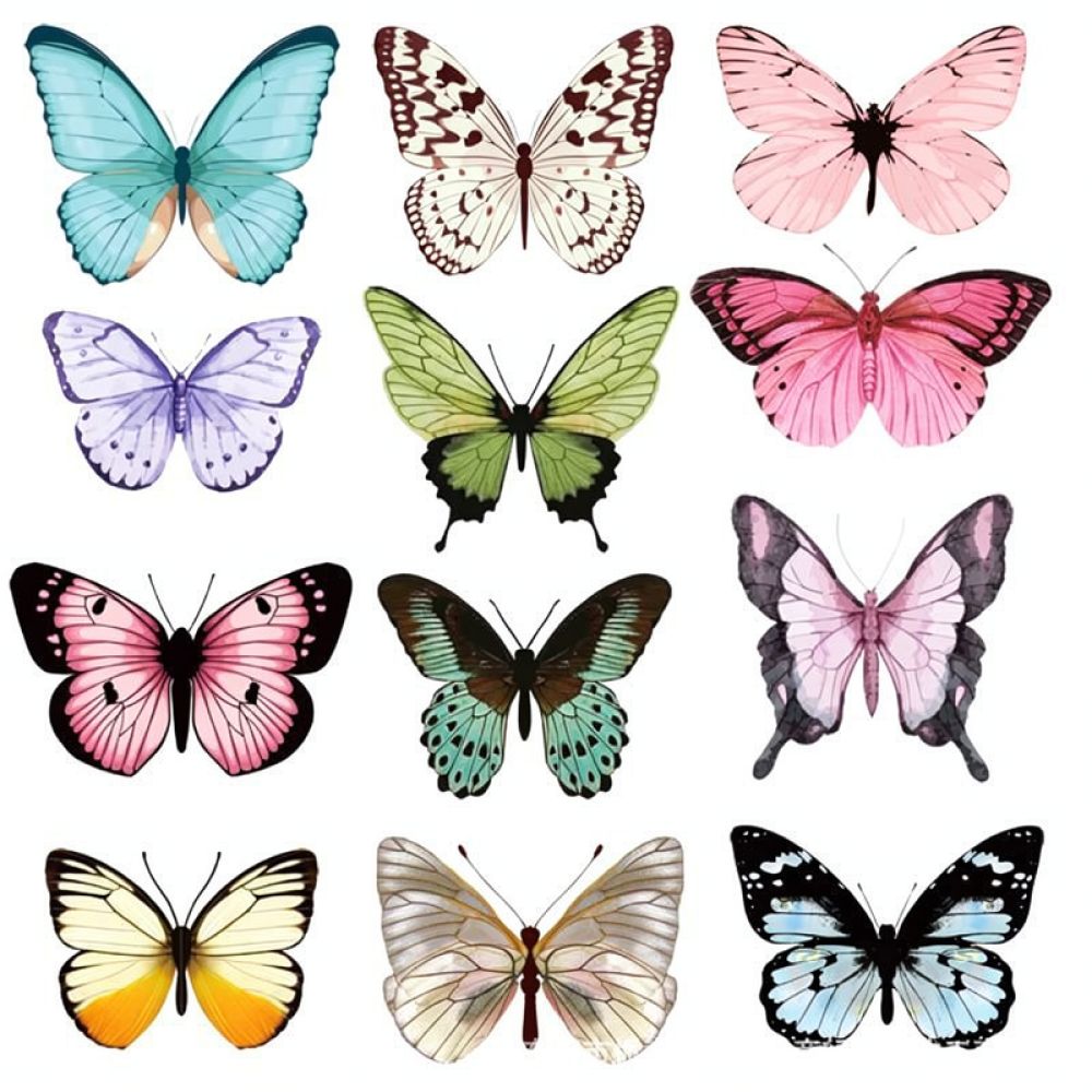 ملصقات جدارية من مادة PVC على  - مراجعة Art And Craft For Nursery وسعره